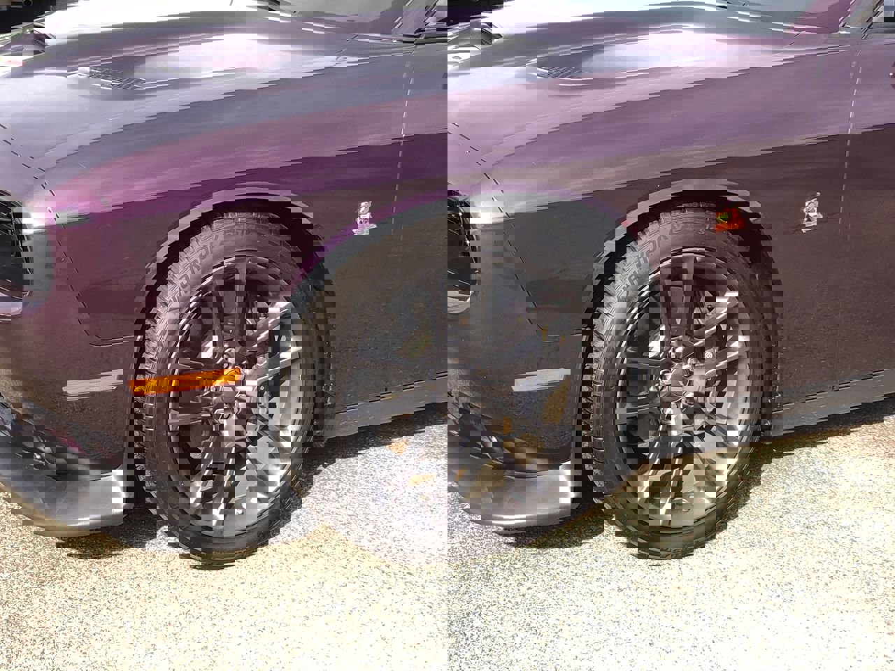 2021 Dodge Challenger Photo in Danville, KY 40422